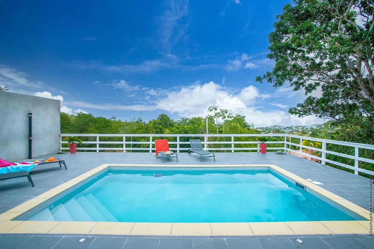 Magnifique Villa Avec Piscine Vue Sur Mer Le Vauclin